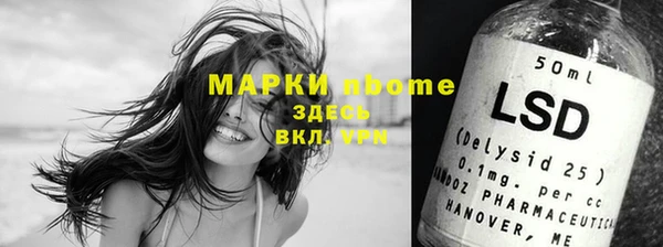 индика Армянск