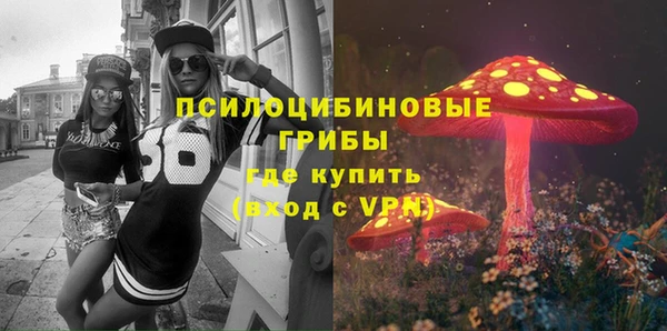 индика Армянск