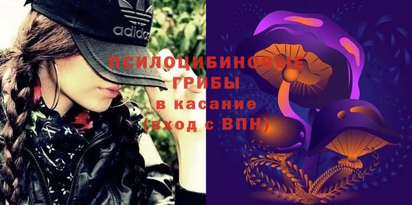 спайс Арсеньев