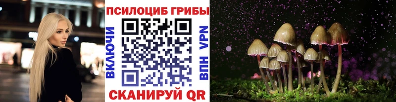 Галлюциногенные грибы MAGIC MUSHROOMS  Купить закладки  Кемерово 