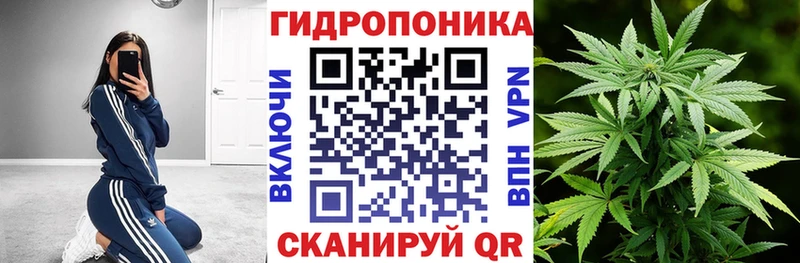 Купить  Кемерово  Бошки Шишки семена 